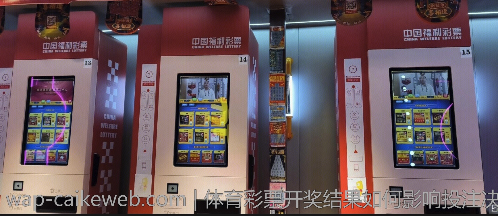 体育彩票开奖结果如何影响投注决策